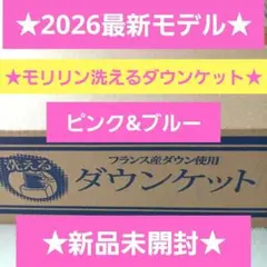 2026年最新】モリリン 羽毛掛け布団の人気アイテム - メルカリ