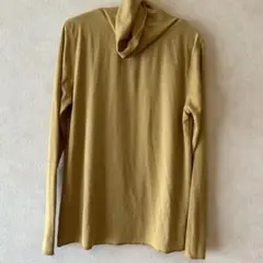 アース　からし色　タートル