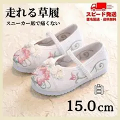 Item thumbnail for item 00c1c1dd-89fe-4371-8537-3950dd633508