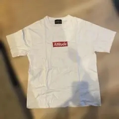 Item thumbnail for item 87addd84-af66-4a1d-9b8e-dabb957401ab