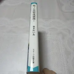晴ヶ丘高校洗濯部！ 梨木れいあ スターツ出版文庫