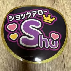 2025年最新】プロレス応援ボードの人気アイテム - メルカリ
