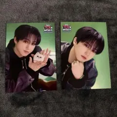Stray Kids チャンビン TOY WORLDラントレ