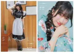 菅叶和　ドラゴンエイジブロマイド ゲーマーズ通販 on X: 