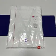 Item thumbnail for item f13d46f9-f6d5-4758-a61b-ccddec40247f