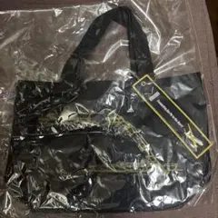 成田空港　ランチバッグ