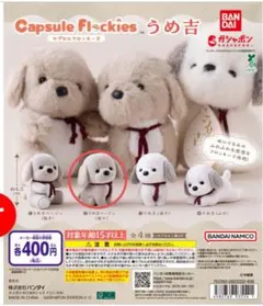 Capsule Flockies うめ吉 ベージュ（座り）
