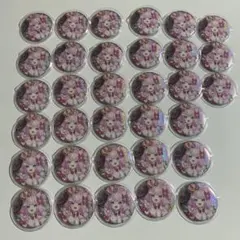 mao様 ヤンナリ バースデー 缶バッジ にじさんじ アニカフェ 35点 