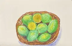 『グリーンレモン』イラスト