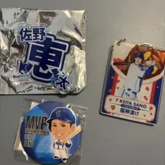 佐野恵太　ベイスターズ
