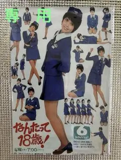 【専用】未開封　岡崎友紀　イメージオマージュアルミプレートブリキ看板①
