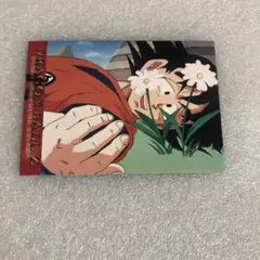 ドラゴンボール トレーディングコレクション N-56