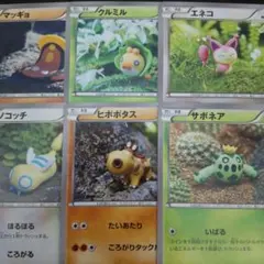 ポケモンカード　イラスト　森井ユカ　BW XY　6枚セット　エネコ 等のサムネイル