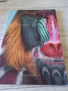 Item thumbnail for item 7b03783e-4780-4e5a-8041-3ad861a15293