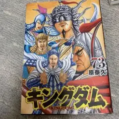 キングダム 73