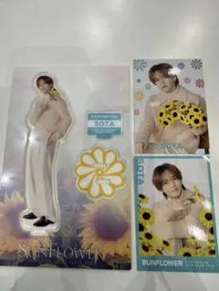 中島颯太　アクリルスタンド　フォトカード　シクレセット