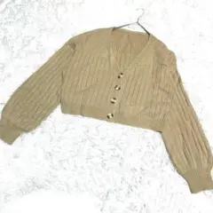 SHEINベージュ Vネック カーディガン 長袖 Lサイズ　大きめボタン