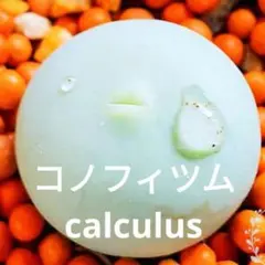 ぷー様 リクエスト 2点 まとめ商品