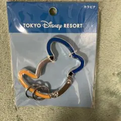 東京ディズニーリゾート カラビナ