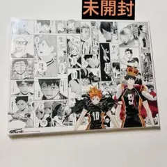 ハイキュー展 フルカラーBIGアートボード 日向と影山 日向翔陽　影山飛雄
