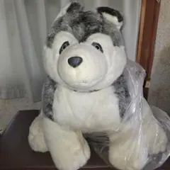 hirokun house　Kuromaru　犬ぬいぐるみ hirokun house Kuromaru 犬ぬいぐるみ