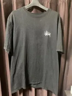 ピグメント Tシャツ