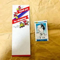 ミニブロマイド　轟焦凍