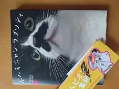ボヘミアン・ラプソディ 猫の写真集