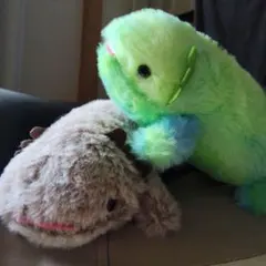 2025年最新】クラインぬいぐるみ ウーパールーパーの人気アイテム