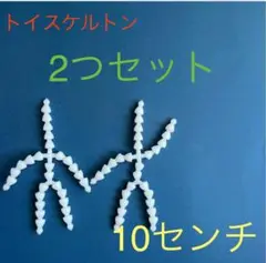 トイスケルトン 2つセット 10センチ