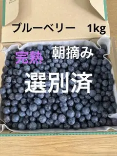 ブルーベリー1.0kg 大粒　３箱化粧箱入り ブルーベリー1.0kg 大粒 化粧箱入り - メルカリ