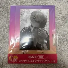 hide くじ A賞 新品 未開封 1番くじ D賞 E賞まとめ売り 5点 - メルカリ