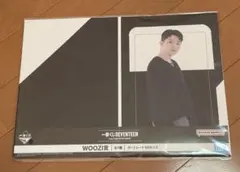 SEVENTEEN 一番くじ　WOOZI