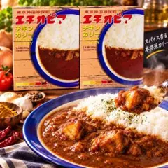 東京神田神保町 エチオピア チキンカリー 2箱セット