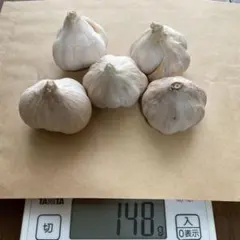 오키나와 섬 마늘 5개 (남은 2세트)