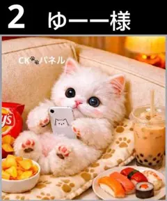 オーダーページ　ハンカチ203 スマホにゃんこ柄ハンドメイド3/25