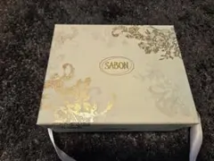 Item thumbnail for item 939d63cd-3eff-44b7-871a-e1a377c99d13