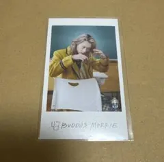 BUDDiiS MORRIE ミニフォト(前)
