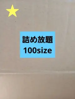 【詰め放題】日用品雑貨　100サイズ　リサイクル段ボール　他出品☆マーク対象商品