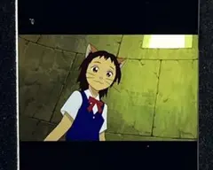 50猫の恩返し バロンハルユキちゃん ジブリ美術館 フィルム チケット 