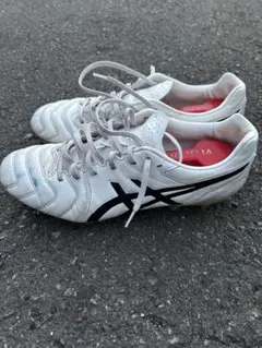 アシックス　DSライト　27cm