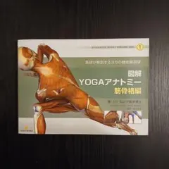 図解YOGAアナトミー筋骨格編