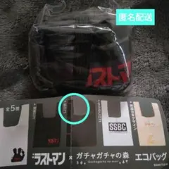 Item thumbnail for item f5867000-2e9d-4fc0-a1c9-705318cad729