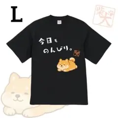 Item thumbnail for item f5581930-ac4d-46fd-8622-14d3b71c3e2b