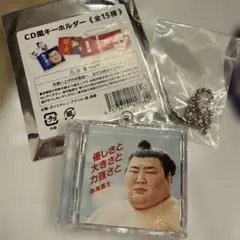 熱海富士　CD キーホルダー