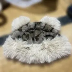 耳付き　モコモコ帽子　キャップ　ヒョウ柄　柄物 アニマル柄　ファンキャップ