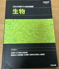 Item thumbnail for item eaf3386f-db13-447c-a6e3-7329c4d64da9