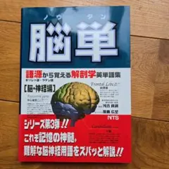 脳単