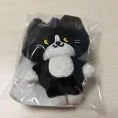 2026年最新】イェソン ぬいぐるみの人気アイテム - メルカリ