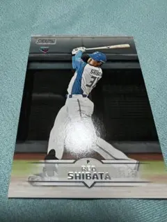topps 2025 柴田獅子
